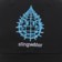 Stingwater Stingraiser Strapback Hat - black - front detail