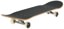 DGK Slap Up 7.75 Complete Skateboard - angle