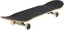 DGK Wonderland 8.0 Complete Skateboard - angle