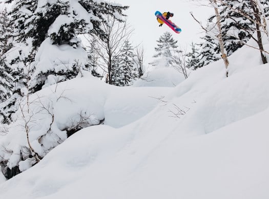 Burton Family Tree Hometown Hero Snowboard 2025 | Tactics Burton Family Tree Hometown Hero Snowboard 2025 | Tactics