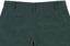 RVCA Americana Shorts - hunter green - alternate reverse