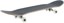 Tactics Bomb 8.25 Complete Skateboard - angle