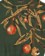 Passport Quandong Knit Sweater - forest green - front detail