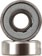 DGK Benjamins Abec 5 Skateboard Bearings - close