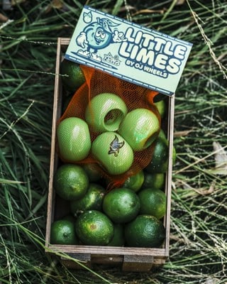 OJ Lil Lime Doodies Skateboard Wheels - lime green (99a