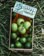 OJ Lil Lime Doodies Skateboard Wheels - lime green (99a) - Lifestyle 1