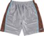 WKND 44 Shorts - silver dazzle