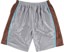 WKND 44 Shorts - silver dazzle - reverse