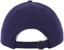 Polar Skate Co. Braces Strapback Hat - navy - reverse