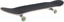 Habitat Insecta Green 7.75 Complete Skateboard - angle