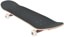 Globe Heyman 8.0 Complete Skateboard - angle