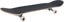 Chocolate Trahan Bayou 7.75 Complete Skateboard - angle