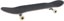 Quasi Surfa 8.0 Complete Skateboard - angle