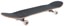 Globe Strype 8.0 Complete Skateboard - black/off white - angle