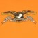 Anti-Hero Eagle T-Shirt - safety orange - front detail