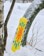 Gnu Forest Bailey Head Space C3 Snowboard 2025 - yellow base - alt 1