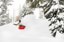 Lib Tech Lib Rig Camber Snowboard 2025 - red base - alt 3