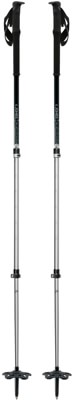 Jones Talon Splitboard Poles - silver - view large