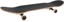 Anti-Hero Roached Out 8.0 Complete Skateboard - angle