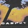 Carpet Dandelion T-Shirt - yellow - front detail