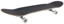 Arbor Street Logo 8.5 Complete Skateboard - angle
