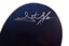Thank You Bufoni Bride Of Buddy 8.25 Guest Skateboard Deck - sig close up