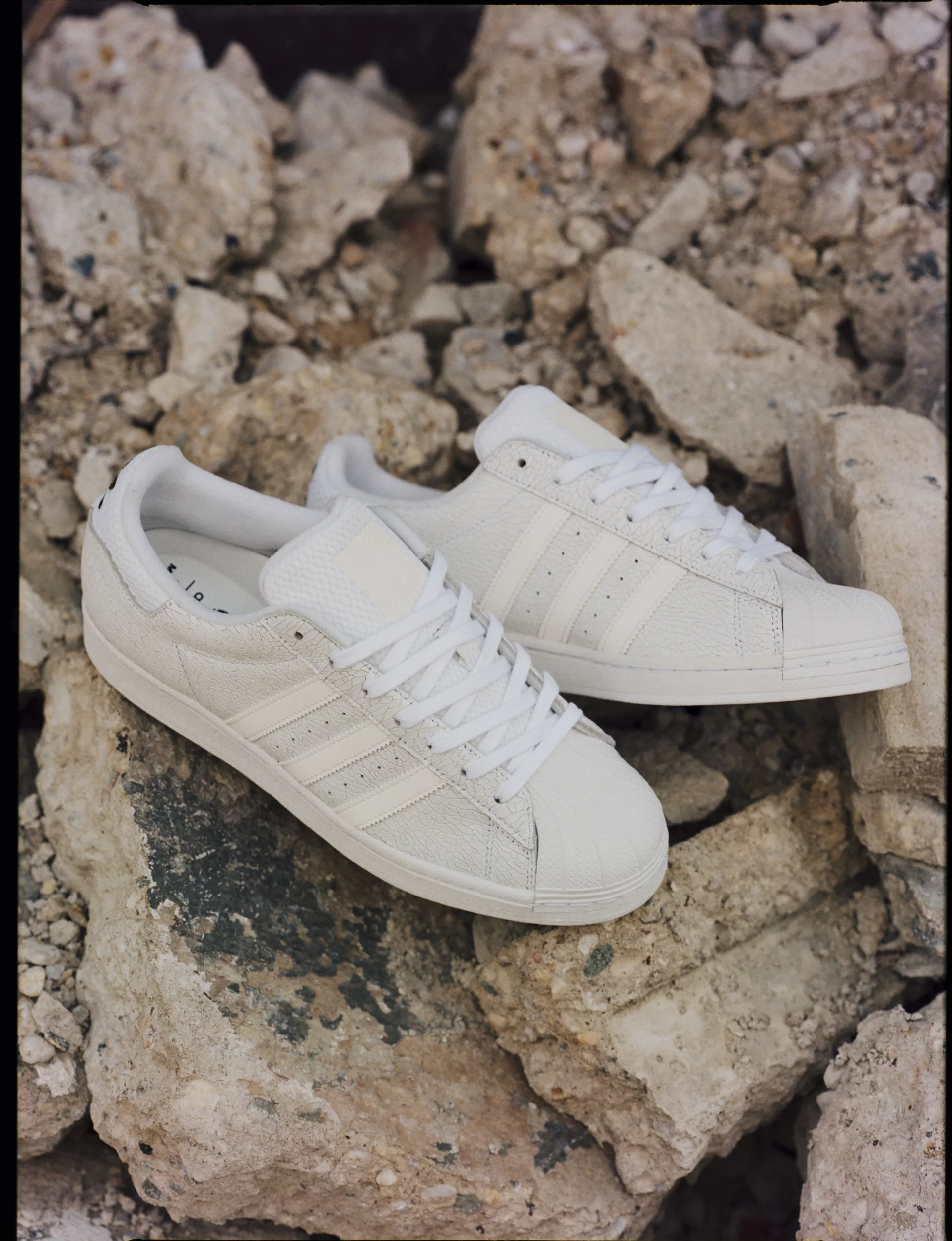 Superstar blanc ftwr white ftwr white metallic fluidmaster silver sld