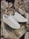Adidas Superstar ADV Skate Shoes - (vitoria mendonca) core white/core white/white reflective - alt 1