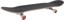 Toy Machine Fists 001 8.25 Complete Skateboard - angle