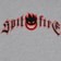 Spitfire Immortal Fire Emb Hoodie - grey heather - front detail