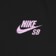Nike SB Spider T-Shirt - black - front detail
