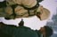 686 GORE-TEX 3L ATV Jacket - dusty yellow dune - lifestyle 4