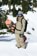 686 Women's GORE-TEX Willow Insulated Jacket - sage - lifestyle 1