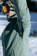 686 Women's Hydra Insulated Jacket - cypress green - lifestyle 6