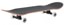Zero Single Skull 8.0 Complete Skateboard - angle