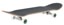 Tactics Oval Logo 7.75 Complete Skateboard - teal - angle