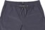 Volcom Frickin EW 19" Shorts - charcoal - alternate front