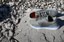 Nike SB PS8 Skate Shoes - sequoia/black-cargo khaki-medium olive - Lifestyle 2