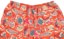 Patagonia Baggies 5" Shorts - wrasse: pollinator orange - alternate reverse