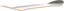 Deathwish Foy 33 Degrees 8.25 Skateboard Deck - angle