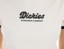 Dickies Women's Lewistown Ringer T-Shirt - egret - front detail