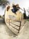 Hours Is Yours Dilo Pro Skate Shoes - cocoa/cream - Lifestyle 3