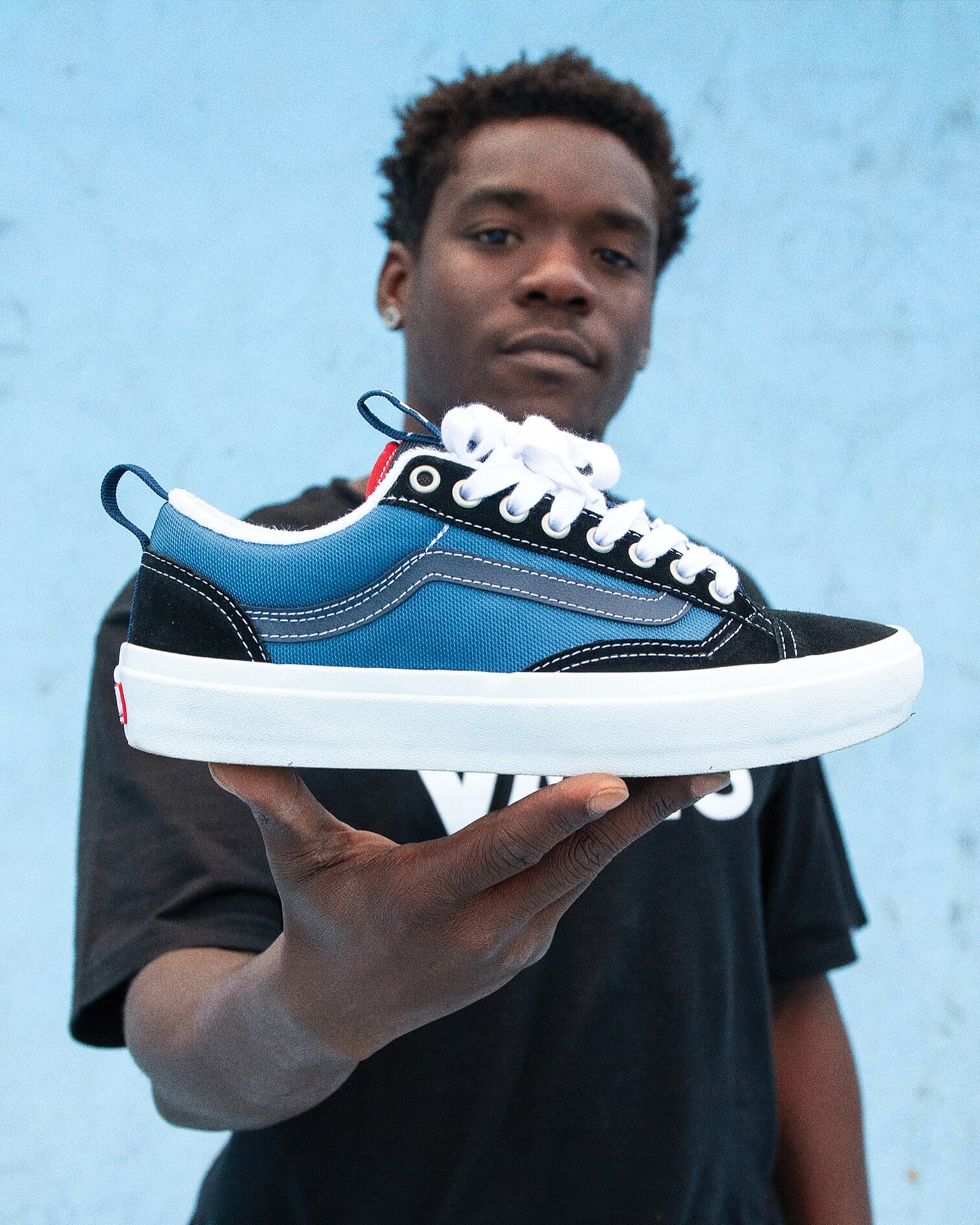 vans skate shoe brand image