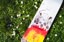 Tactics I Know Nothing Skateboard Deck - alternate 3