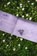 Tactics Paddle In Skateboard Deck - alternate 2