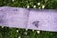 Tactics Paddle In Skateboard Deck - alternate 3