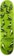 Anti-Hero Pfanner Dawn Of The Pigeon 8.25 Skateboard Deck - green