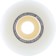Spitfire Ishod Pro Formula Four Lock-In Classic Skateboard Wheels - natural 53 (99d) - reverse