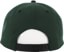 Baker Daisy Snapback Hat - green/black - reverse