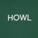 Howl Logo Hoodie - green - front detail
